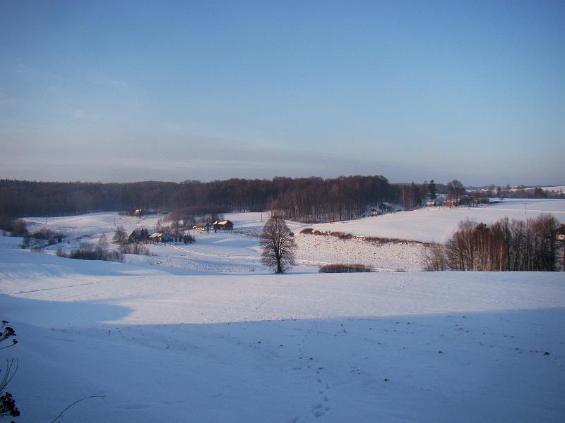 DSC00455