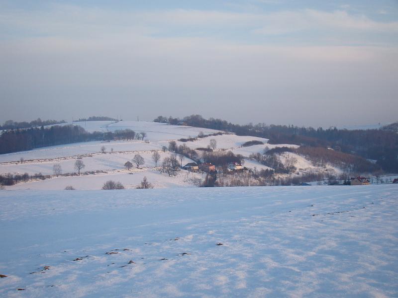 DSC00480