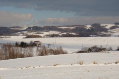 DSC00169