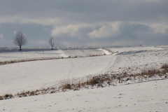 DSC00171