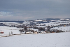 DSC00219