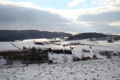 DSC00229