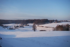 DSC00455