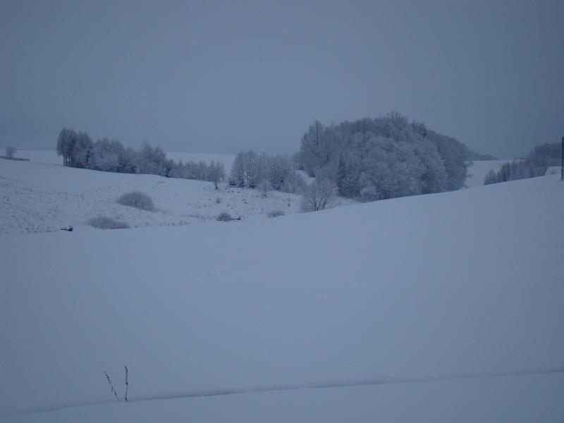DSC05368