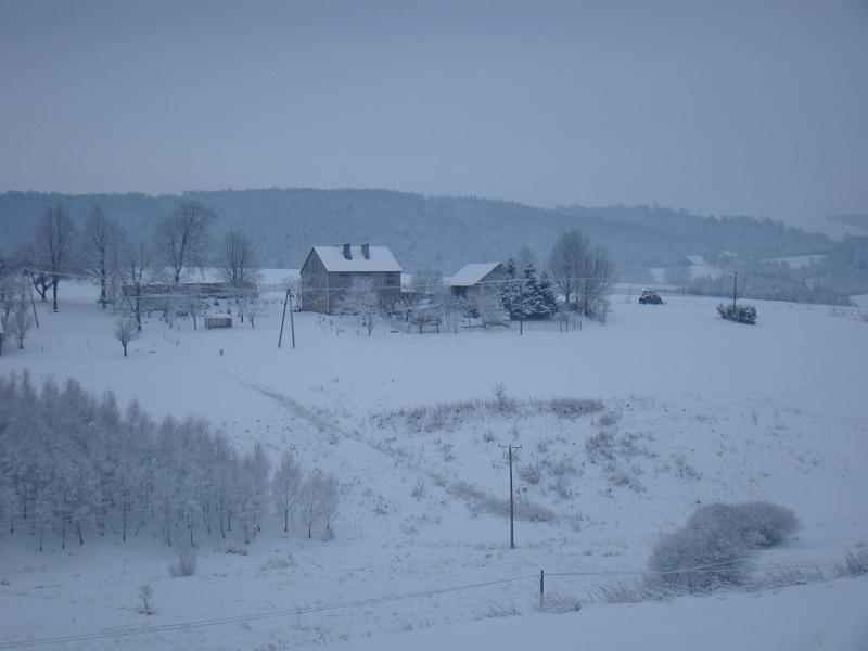DSC05370