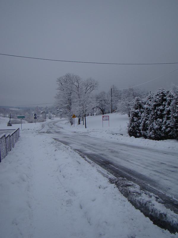 DSC05380