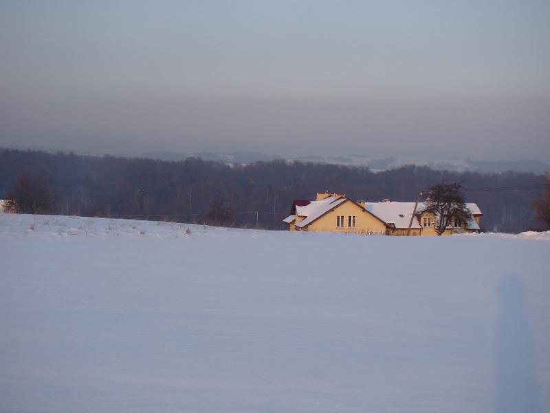 DSC05527