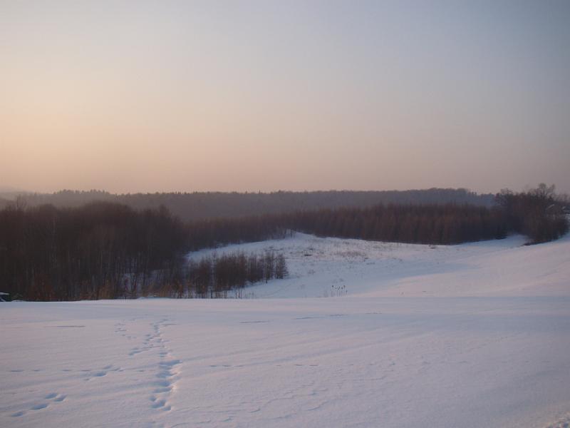 DSC05528