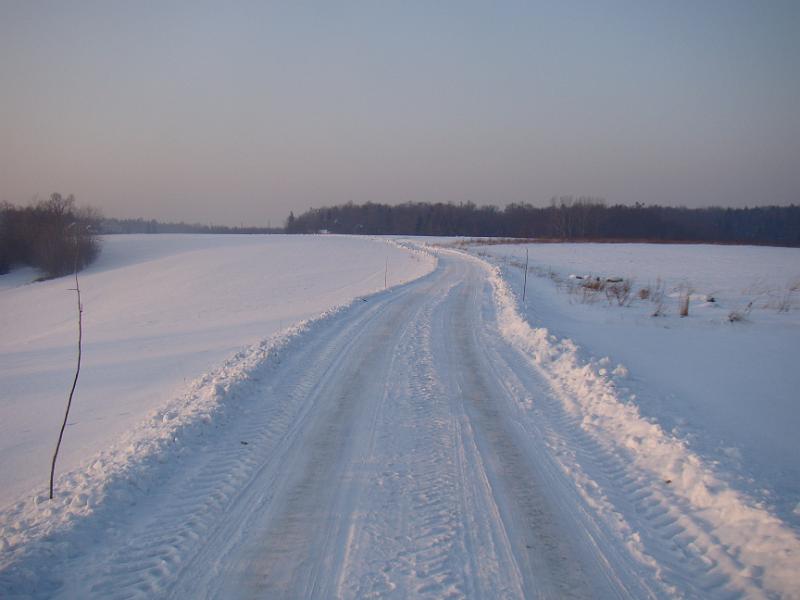 DSC05529