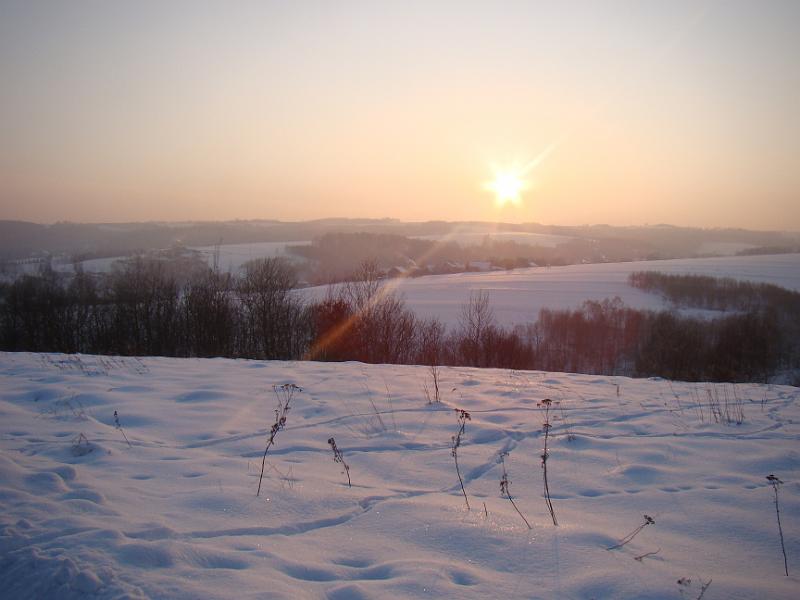 DSC05531