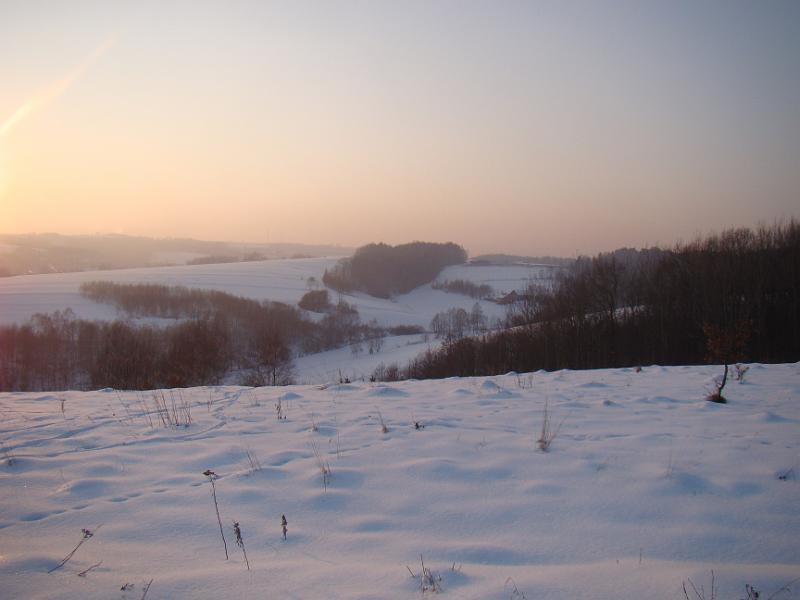 DSC05532