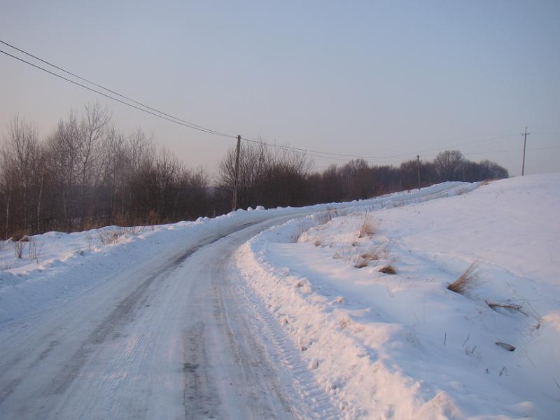 DSC05534