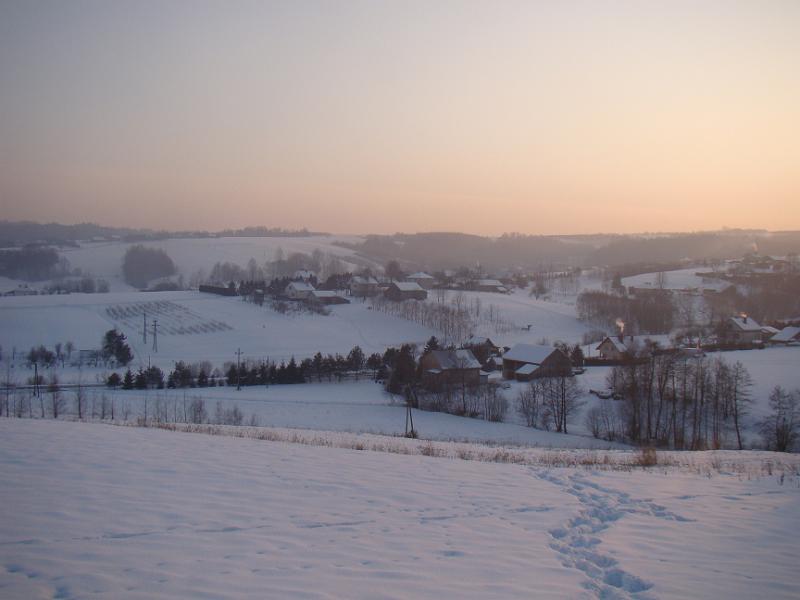 DSC05537