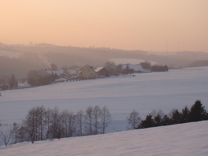 DSC05539