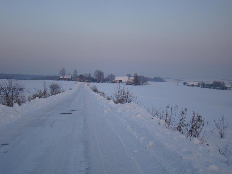 DSC05551