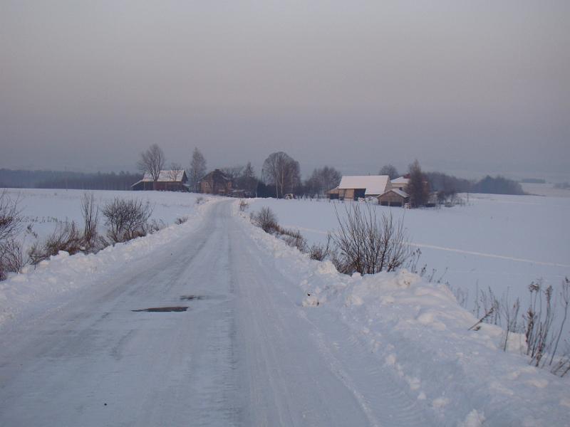 DSC05553