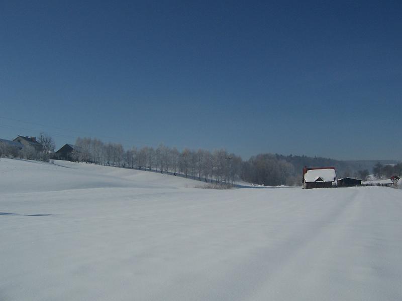 luty2012 024