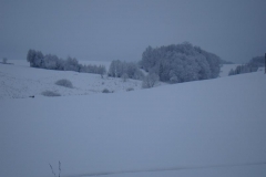 DSC05368