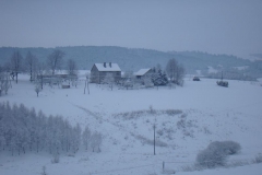 DSC05370
