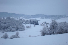 DSC05372