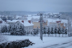 DSC05373