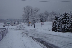 DSC05380