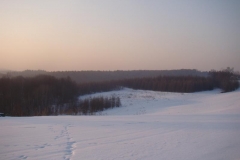 DSC05528