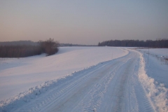 DSC05530