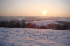 DSC05531