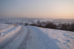 DSC05533