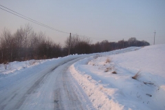 DSC05534