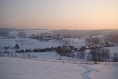 DSC05537