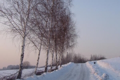 DSC05542