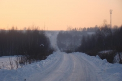 DSC05549