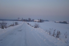 DSC05551