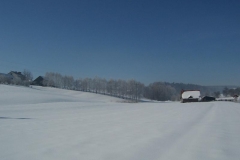 luty2012 024