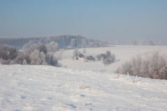 gru12 012